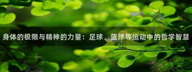 88体育会黑吗：身体的极限与精神的力量：足球、篮球等运动中的哲学智慧