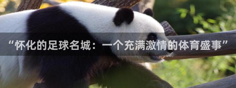 88体育赛事免费直播：“怀化的足球名城：一个充满激情的体育盛事”